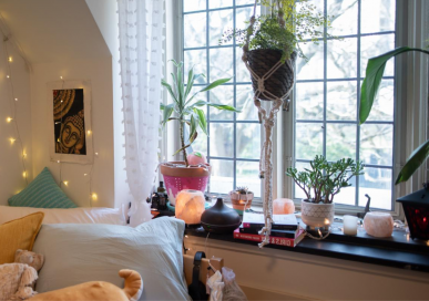 A room with fairy lights and hanging plants by a window