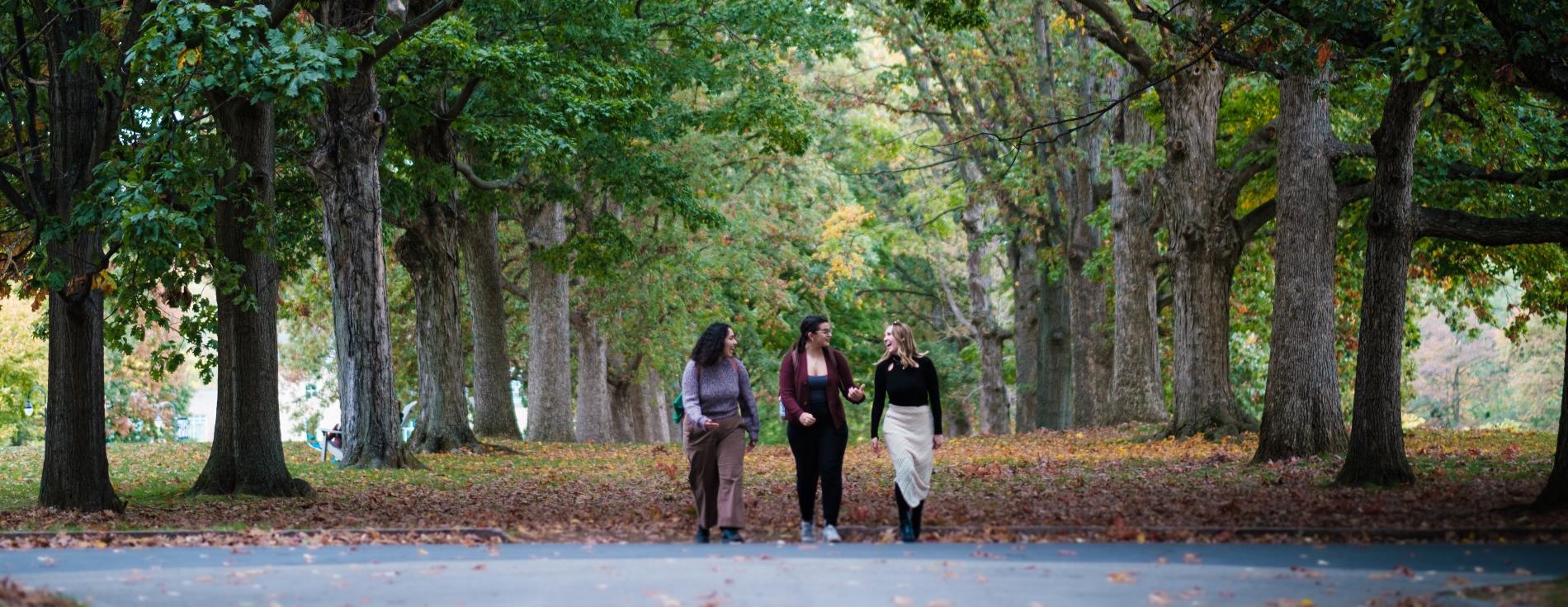 Three students walking between the trees at Senior Row